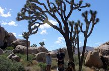 Guided Tour of Joshua Tree National Park with Local Expert