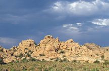 Guided Tour of Joshua Tree National Park with Local Expert