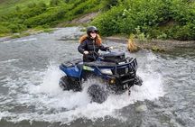 Midnight Sun ATV and Sunrise Dog Sled Adventure in Willow Alaska