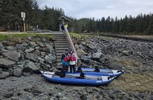 Juneau Kayak, Glacier Viewing and Hiking Tour