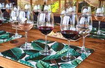 Valparaíso, Viña del Mar & Emiliana Organic Vineyard
