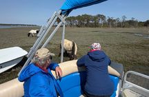JS Expedition Wildlife, Dolphin, and Pony Tour