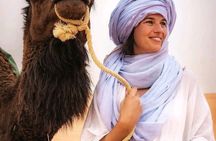 Erg Chebbi Camel Trek. overnight at luxury camp