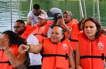 Exotic Wildlife and Monkey on Gatun Lake