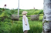 1 Day Private Ubud Tour in Ubud All Inclusive