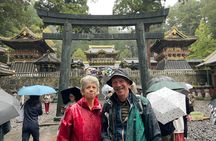 Nikko Day Trip from Tokyo by Private Car with Licensed Guide