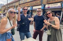 Tsukiji Local Food & Culture Half-Day Tour, Licensed Guide