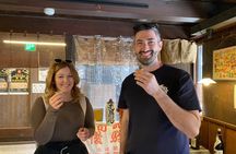Takayama Half-Day Private Tour with Government Licensed Guide