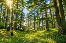 4 Nights Lebanon Holiday Package