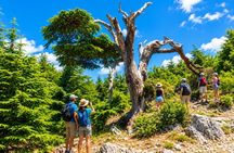 4 Nights Lebanon Holiday Package