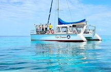 Cairns Full-Day Great Barrier Reef Snorkelling Tour