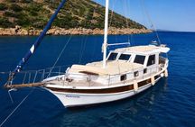 6 Hour Private Shore Excursion To Bodrum with Lunch Included