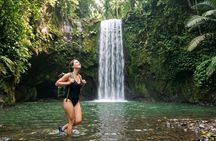 Ubud Premium Private Tour: Waterfalls, Swing & Lunch