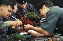 Osaka: Bonsai Making with a Local Guide