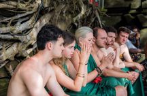 Ubud Flexible Private Tour – Half or Full Day