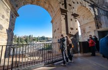 Colosseum Entrance Ticket Audio Guide App