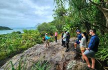 Rainforest to Reef Guided Bushwalk Adventure Airlie Beach