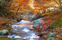 Nikko World Heritage Private Tour – Temples, Waterfalls & Nature