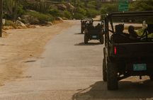 Aruba Small-Group UTV Adventure|Private Off-Road Tour Max 4 UTVs