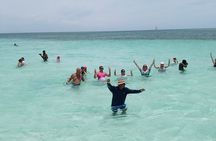 Saona Island Experience Full Tour from Punta Cana