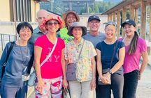 Kumano Kodo Pilgrimage in 1 Day Hike with Licensed Guide
