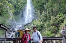 Kumano Kodo Pilgrimage in 1 Day Hike with Licensed Guide