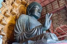Nara Private Custom Tour with Local Guid