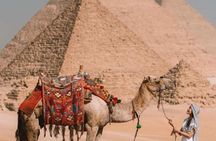 Full Day Trip Giza Pyramids ,Saqqara with Dinner at Nile Cruise