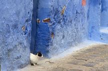 The Blue Pearl Private Day Trip from Fez to Chefchaouen