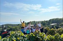 Korcula Buggy Safari Tour: Beaches, Backroads & Wine Tastings