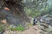 Ain Ghaidh Spring Path Hiking ( عين غيض )