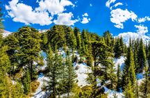 Qadisha Valley, Cedars Hike & Kozhaya | Small-Group All-Inclusive