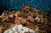 Villasimius Snorkeling Tour in Capo Carbonara