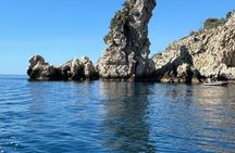 Excursion plus search for dolphins