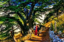Private Qadisha Valley, Cedars & Baalbek Tour | Seasonal May–Oct
