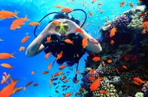 Scuba Diving from Boat Adventure in Sharm El Sheikh