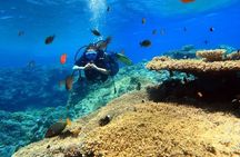 Scuba Diving from Boat Adventure in Sharm El Sheikh