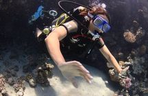 Scuba Diving from Boat Adventure in Sharm El Sheikh