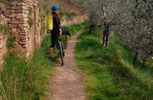 Assisi - Ebike tour to Spello and Bevagna