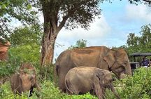 Udawalawe National Park 4 Hours Budget Safari