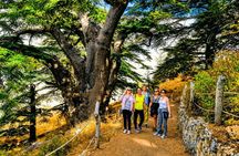 Qadisha Valley, Bcharee & Cedar Small Group Tour with Lunch