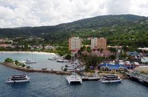 Ocho Rios Highlight Tour