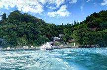 Lake Biwa Cruise, Chikubu Island and Hikone Castle in Kyoto Tour