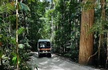 Kgari or Fraser Island Adventure Tour Ex Rainbow Beach