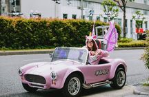Osaka New EV Kart Tour: Drive Through Osaka's Streets & Landmarks