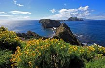 Private Channel Islands National Park Day Tour from Los Angeles