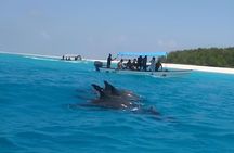 Zanzibar Dolphin Tour Jozani Forest and Salaam Cave with Transfer