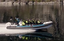 Lysefjord RIB Boat Tour from Sandnes cruise terminal