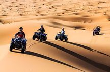 Marrakech Palmeraie Quad Adventure with Transfers
