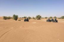 Marrakech Palmeraie Quad Adventure with Transfers